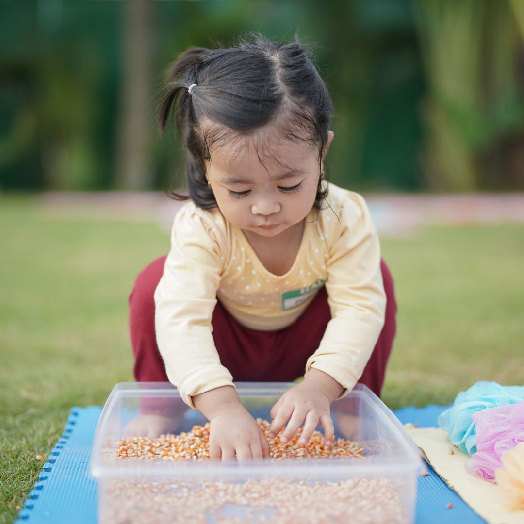 a girl sifting through a container of dried corn