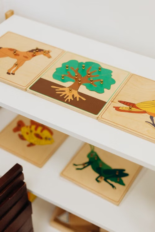 Educational wooden puzzles arranged neatly on an accessible classroom shelf.